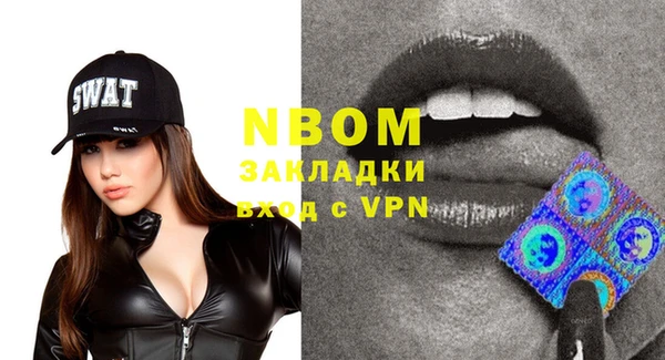 стаф Аркадак