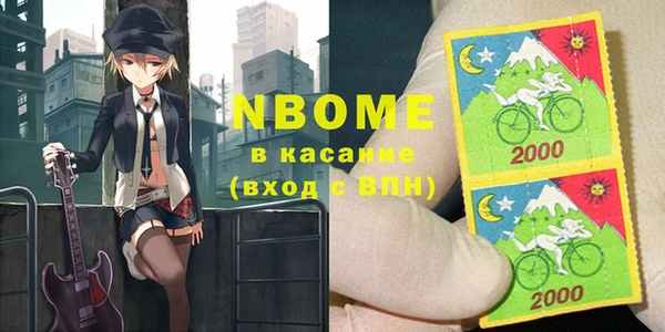 стаф Аркадак