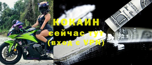 стаф Аркадак