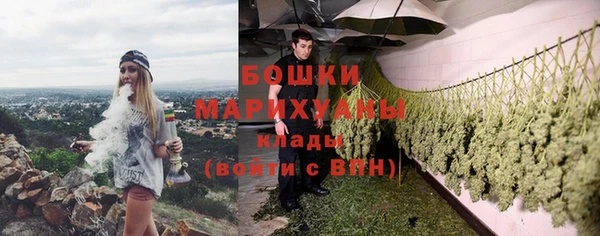 стаф Аркадак