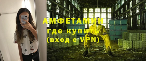 стаф Аркадак