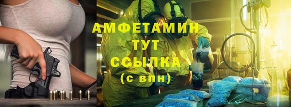 стаф Аркадак